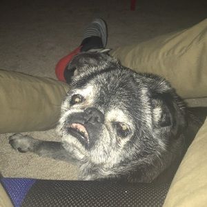 Meet your Posher, Bishop